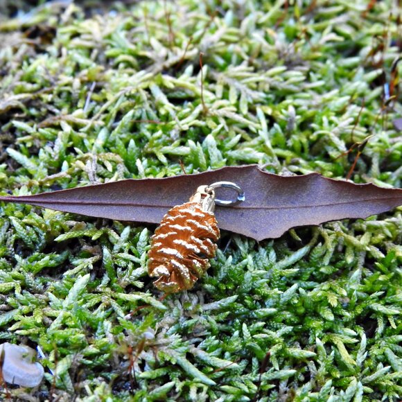 Gold Dipped Miniature Pinecone Necklace - Picture 6 of 7